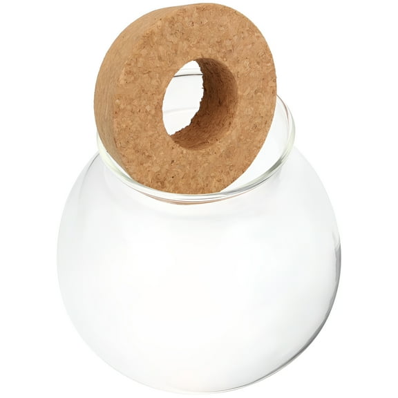 ACDANC Hydroponic Glass Bottle Pots for Plants Hydroponic Vase Hydroponic Plant Planter Plant Propagation Station Propagation Vases for Plants