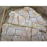 Dexpan Expansive Demolition Grout 11 Lb. Bucket for Rock Breaking, Concrete Cutting, Excavating. Alternative to Demolition Jack Hammer Breaker, Jackhammer, Concrete Saw, Rock Drill (#3 (23F-50F)