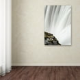 thumbnail image 4 of Trademark Fine Art 'White Edited' Canvas Art by Philippe Sainte-Laudy, 4 of 4