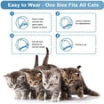 thumbnail image 4 of Calming Collar for Cats, Long-Lasting Pheromone Collar Helps Calm Cats for 60 Days, Reduces Stress, Helps Calm Cats from Anxiety, Loud Noises, and Separation, 2 Count, 4 of 12
