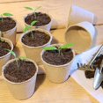thumbnail image 2 of Juego de macetas biodegradables Yjmei para jardinería 50 piezas redondas 8 cm color beige, 2 of 5