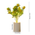 thumbnail image 3 of LED Simulated Fruit Potted Plant Night Light for Bedroom Bedside Ambient Decor Battery Operated, 3 of 6