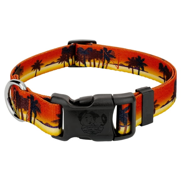 Country Brook Petz® Deluxe Caribbean Sunset Dog Collar - Made in The U.S.A. , Medium