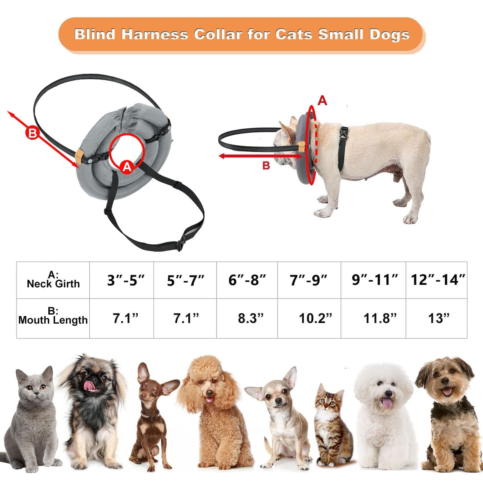 Small Dog Blind Dog Harness Guiding Device, Lightweight Collar for Blind Cat Small Dog, Adjustable Blind Cat Accessories, Pet Anti-Collision Ring Collar for Protective & Build Confidence XS