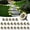 Warm White, variant on Peasur 24 Pack Solar Ground Lights Outdoor (Warm White), Solar Disc Lights, Flat Solar Lights