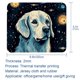 thumbnail image 5 of Alfombrilla de ratón con diseño de perro pastor de estrellas con base de goma antideslizante, cuadrada, protector para portátil, almohadillas de escritura, alfombrilla de ratón para juegos, 5 of 7
