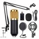 thumbnail image 1 of BM800 Kit de micrófono de suspensión profesional Studio Live Stream Transmisión Grabación Conjunto d Abanopi Micrófono, 1 of 7