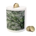 thumbnail image 3 of Nature Piggy Bank, Tree Branch in Spring Season Jungle Growth Nature Look up Wood Scene Photo Print, Ceramic Coin Bank Money Box for Cash Saving, 3.6" X 3.2", Green, by Ambesonne, 3 of 4