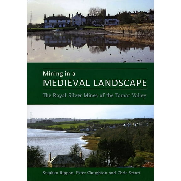 Mining in a Medieval Landscape : The Royal Silver Mines of the Tamar Valley (Hardcover)