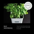 thumbnail image 7 of Cole & Mason Mason Burwell Self-Watering Herb Planter, Indoor Garden Small Planters, 7 of 7