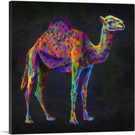 ARTCANVAS Camel Hump Desert Canvas Art Print - Size: 18" x 18" (1.50" Deep)