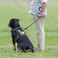 thumbnail image 3 of Arnés táctico para perros Beebiepet Heavy Duty para perros grandes, 3 of 5