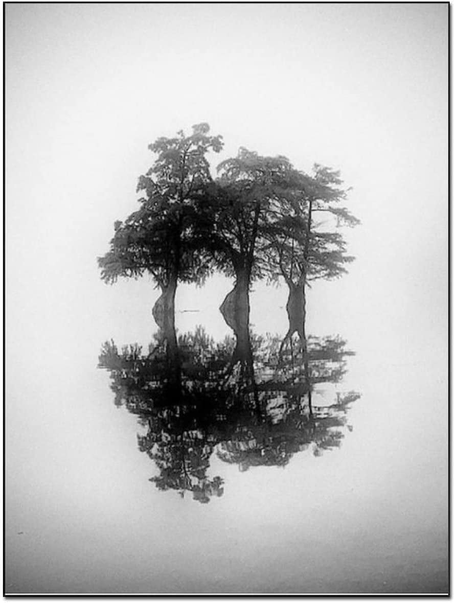 Posters Black and White Wall Art Nature Wall Art Minimalist Wall Art