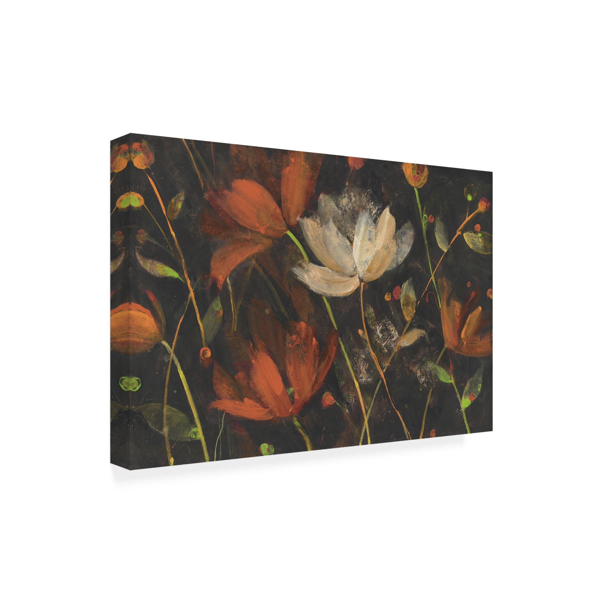 Trademark Fine Art 'Moonlight Garden I Spice Floral' Canvas Art by Albena Hristova