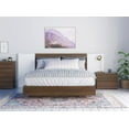 thumbnail image 1 of Cactus 4 Piece Bedroom Set, 1 of 5