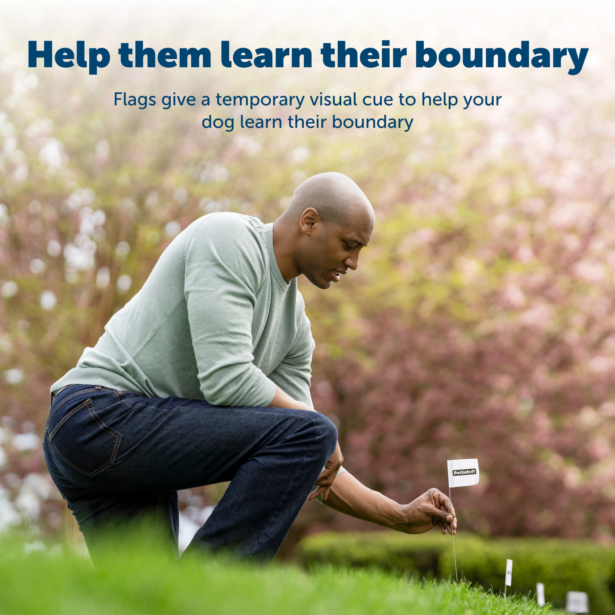 PetSafe Boundary Flags, For Use with PetSafe's Dog and Cat Fences, Bundle of 50
