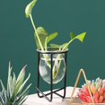 thumbnail image 3 of Florero con hierro para plantas, Metal hidropónico, artística, soporte para centro de , soporte para , Alto Colco jarrón de marco de hierro, 3 of 8