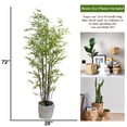 thumbnail image 4 of Artificial Faux Real Touch 71" Bamboo Tree, 4 of 4