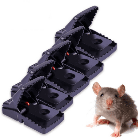 traps cages mousetraps