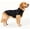 Black, variant on Dog Winter Coat with Fleece Lining and Reflective Stand Collar for Medium and Large Breeds