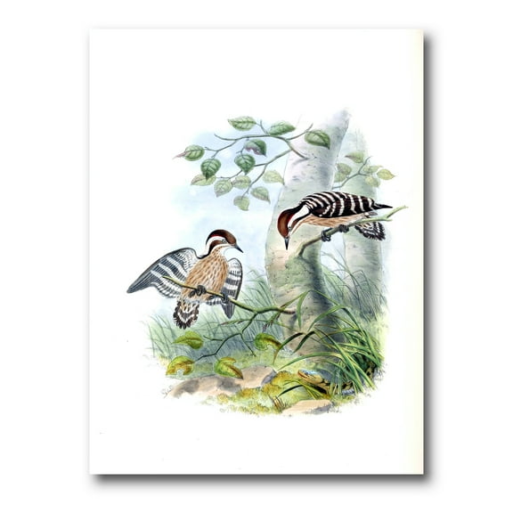 Designart ' Ancient Birds In The Wild I ' Traditional Canvas Wall Art Print