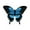 Style A, variant on FashionCha Wooden Butterfly Wall Shelf Floating Storage Shelf Home Decoration Multifunction Style A
