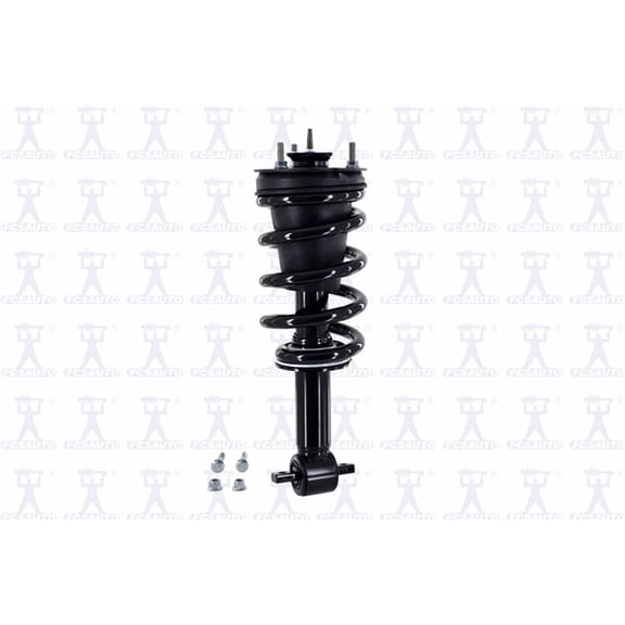 Suspension Strut and Coil Spring Assembly