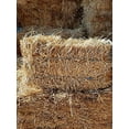 thumbnail image 6 of Double F Farms Premium Organic 100% Natural Straw for Animal Bedding, Garden Mulch, Compost & Fertilizer, and Grass Cover (Compressed Bale (approx. 36 lbs), 6 of 7