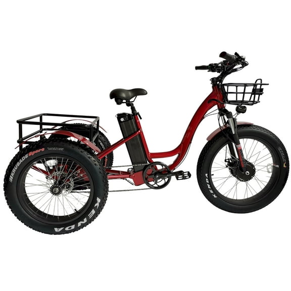 Adult Electric Trike with Fat Tires, 750W Motor,Off-Road Three Wheel Cycle, 40-55 Miles Range