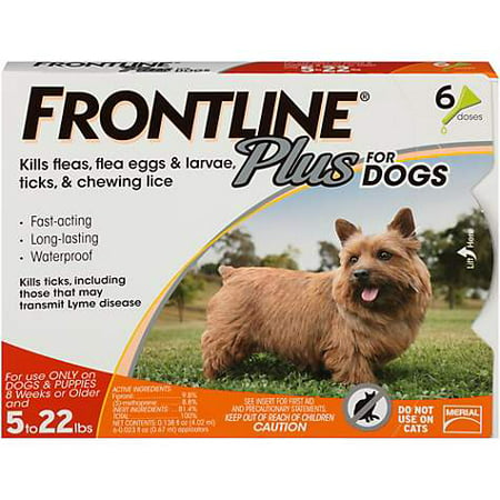 FRONTLINE Plus for Small Dogs (5-22 lbs) Flea and Tick Treatment, 6 (Best Non Prescription Flea Treatment For Dogs)