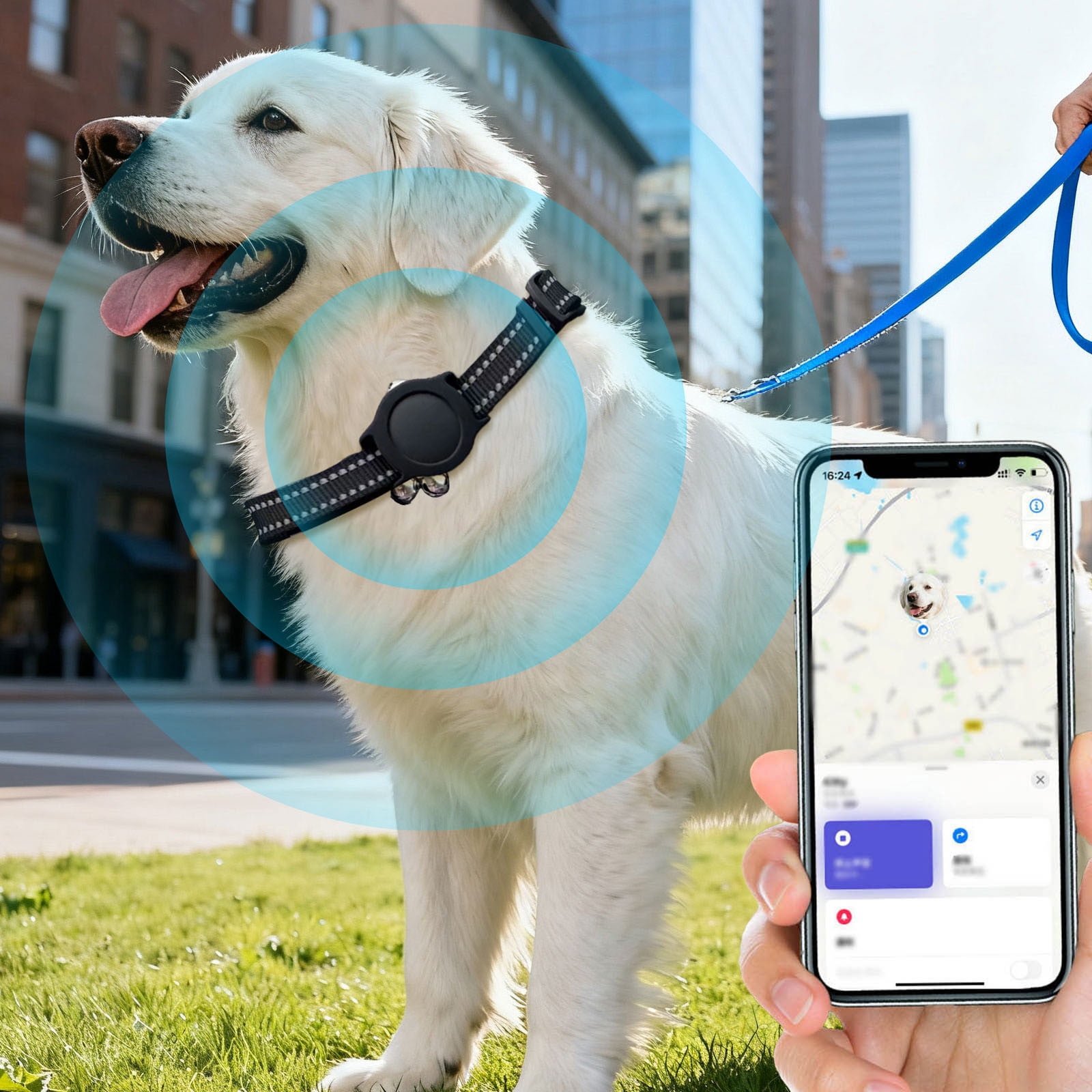 GPS Pet Locator Tracker with Adjustable Collar for Dogs & Cats, Long Battery Life Real-Time Tracking Device, Compatible with iOS Android for Anti-Lost Pet Location Monitoring