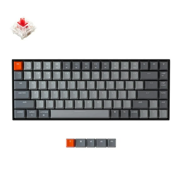 Keychron K2 V2 Wireless Mechanical Keyboard - Black - White LED - Gateron Red - TKL Layout - Windows Mac OS Linux Android (K2-A1)