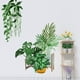 thumbnail image 4 of Billuyoard Pegatinas de pared, papel tapiz de PVC extraíble, calcomanías de hojas frescas, póster de arte, telón de fondo, pegatina DIY, adorno para el Decoración del hogar Billuyoard HA077479-00, 4 of 6