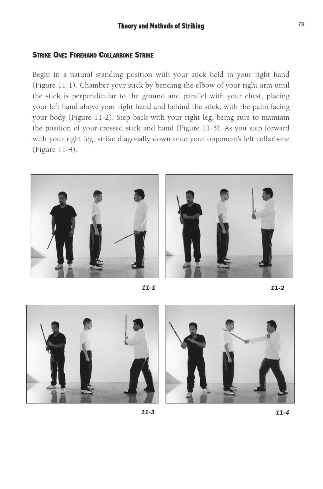 10 Best Stick Fighting Techniques (Book)