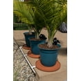 thumbnail image 5 of 22 x 22 inch Black Plastic Drain Away Garden Plant Drain Tray, 5 of 10