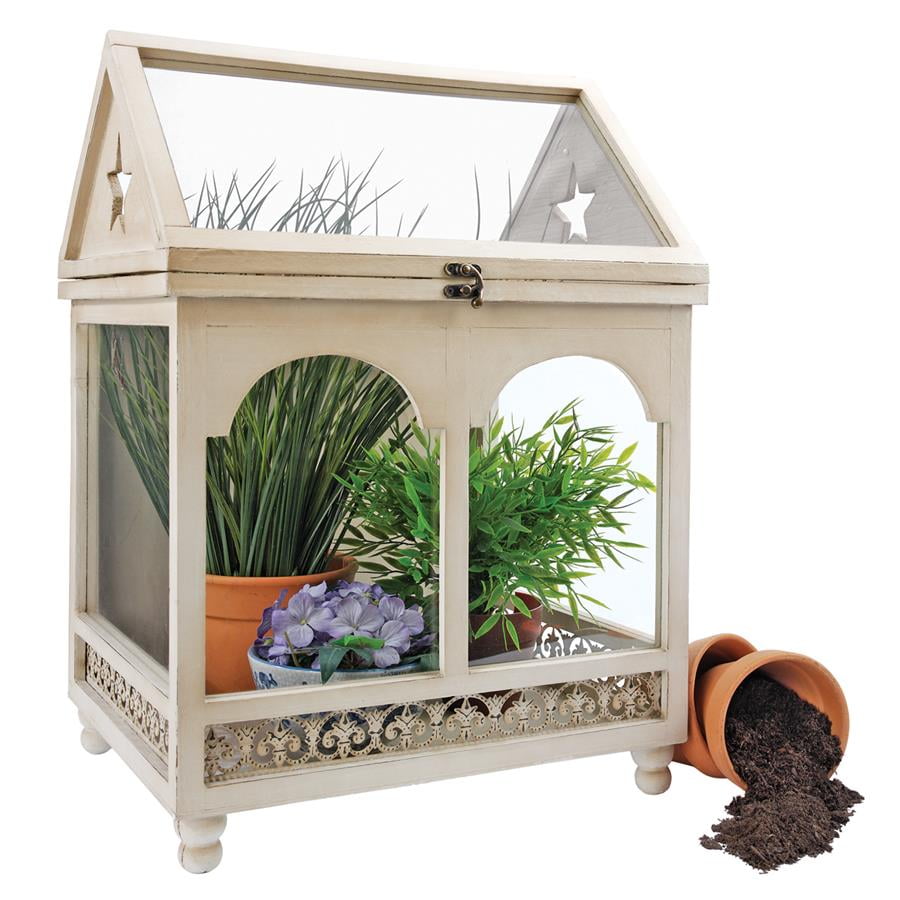 Wooden Wardian Terrarium Plant Case