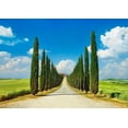 thumbnail image 2 of Krahmer, Frank 14x11 Black Ornate Wood Framed with Double Matting Museum Art Print Titled - Cypress alley- San Quirico dOrcia- Tuscany, 2 of 4