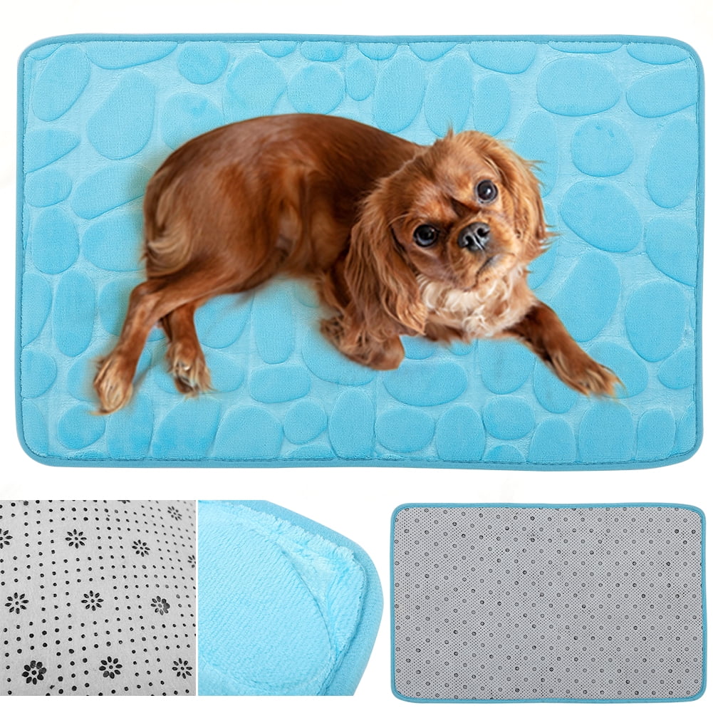 How Do You Massage A Dog To Sleep