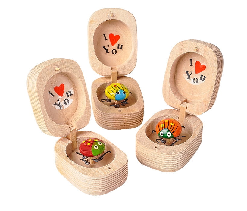 Bulk Novelties I love You Wiggly Ladybugs 12 Piece Set