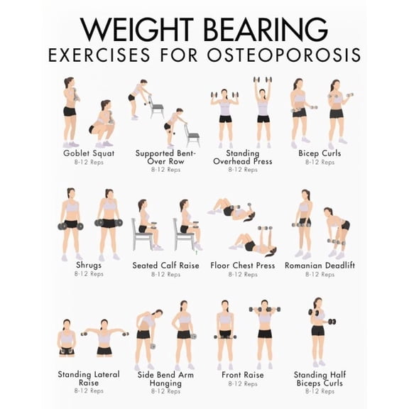 Weight Bearing Training Poster For Osteoporosis, Weightlifting Poster For Osteoporosis, And Bone Loss Training Poster