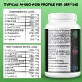 thumbnail image 3 of Shifaa Nutrition Delicious Creamy Chocolate Halal Whey Protein Powder – 24g Protein, BCAAs & Glutamine – Gluten-Free, Non-GMO, Keto, 3 of 6