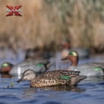 thumbnail image 6 of Avian X Topflight Early Season Teal with True to Life Postures, 18 Pack, 6 of 12