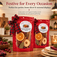 6 Pack Simmer Pot Kit Potpourri with Plaid Bows, Holiday Stovetop ...