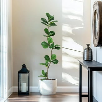Explore the DR.Planzen 5FT Artificial Fiddle Leaf Fig Tree