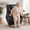 Black-Small, variant on MCombo Large-Wide Power Lift Recliner Chair Sofa with Massage and Heat for Elderly People, Cup Holders, USB&Type C Ports, Side Pockets, Faux Leather (Black, Large-Wide)