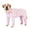 Pink Heart, variant on Harikaji Large Dog Sweater Coat, Large Dog Recovery Suit, Anti-Shedding Dog Pajamas Pjs, After Surgery Dog Onesie for Medium Large Dog Purple 36#