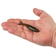 thumbnail image 4 of Berkley PowerBait® PowerStinger, 3.5 in, Minnows, Green Pumpkin (7 Count), 4 of 11