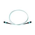 thumbnail image 1 of Axiom - Network cable - MTP/MPO multi-mode (F) to MTP/MPO multi-mode (F) - 1 m - fiber optic - 50 / 125 micron - OM4 - riser - aqua, 1 of 12