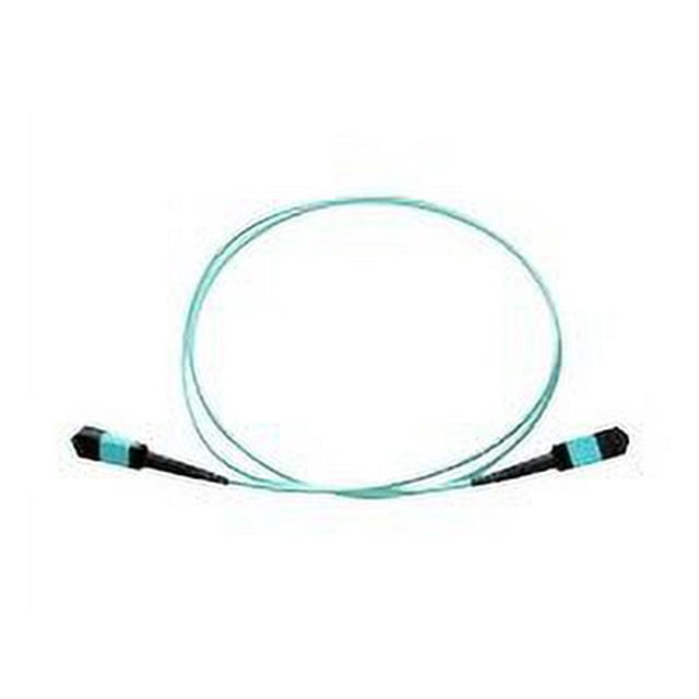 Axiom - Network cable - MTP/MPO multi-mode (F) to MTP/MPO multi-mode (F) - 1 m - fiber optic - 50 / 125 micron - OM4 - riser - aqua