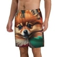 thumbnail image 2 of Saiise Maillot de Bain Homme Imprimé Feuille Colorée Chihuahua avec Poches-TTG, 2 of 6
